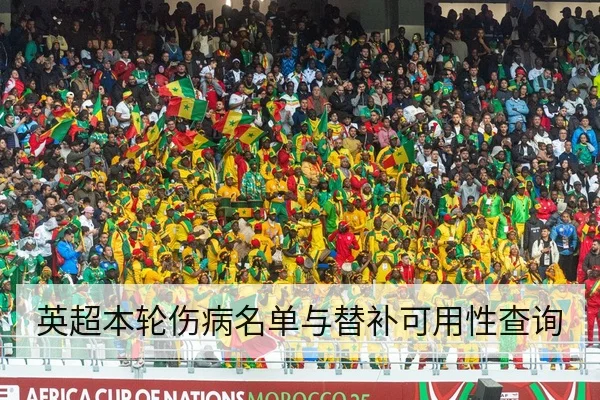 英超本轮伤病名单与替补可用性查询