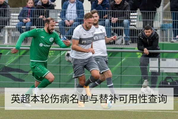 英超本轮伤病名单与替补可用性查询